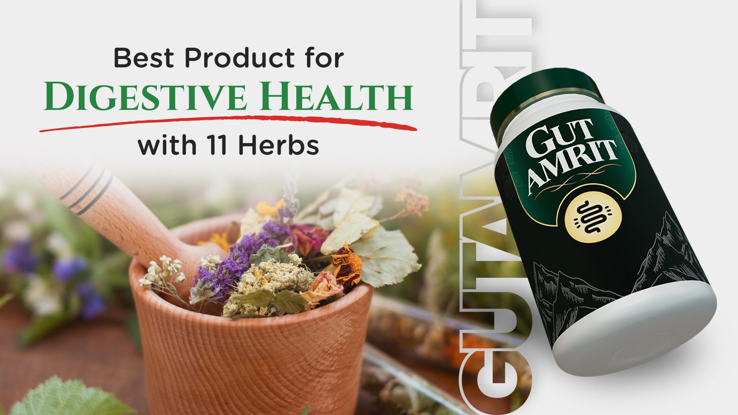 Best product for digestive health Boost metabolism naturally